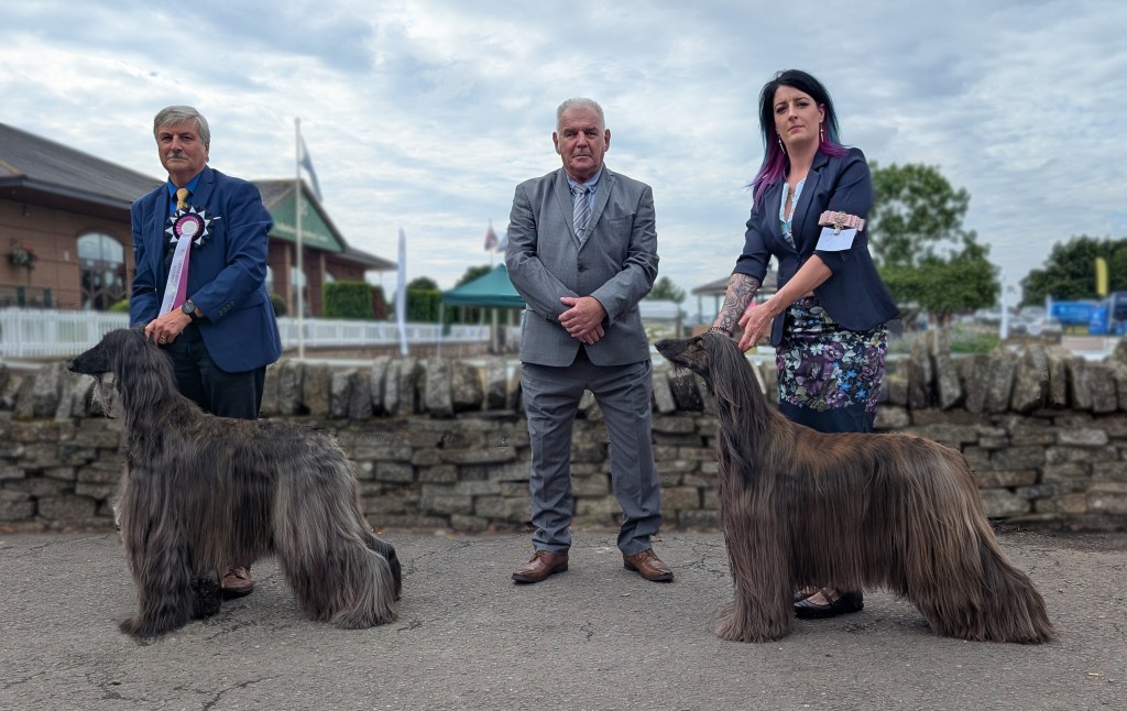 Best Bitch and Res Best Bitch