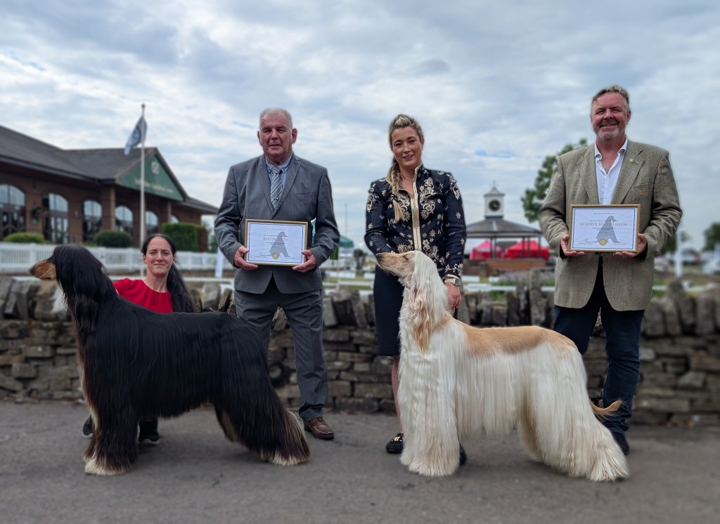 Best In Show & Res Best In Show