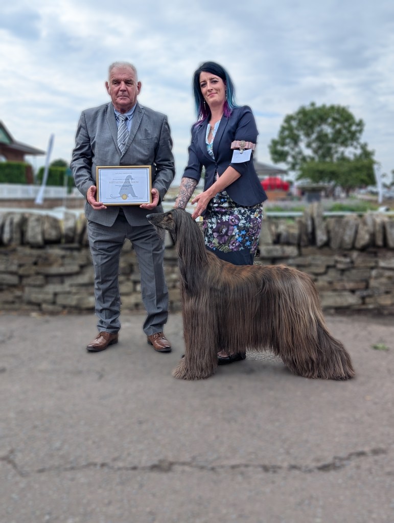 Best Veteran In Show